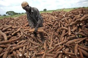 vulnerable farmer