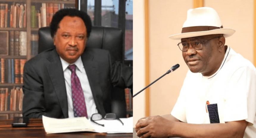 'Wike Will Lead A Very Confused And Unstable Political Career If...' — Shehu Sani