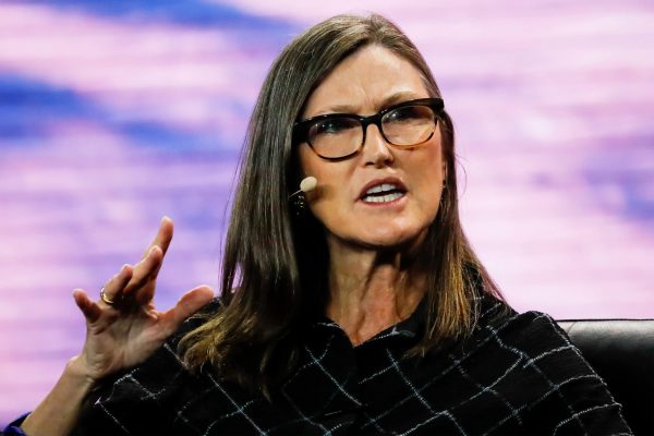 Cathy Wood Disagrees With Nigerian Government On Binance Executive's Arrest